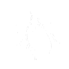жук1 1
